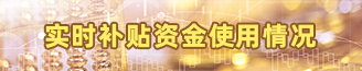 实时补贴资金使用情况