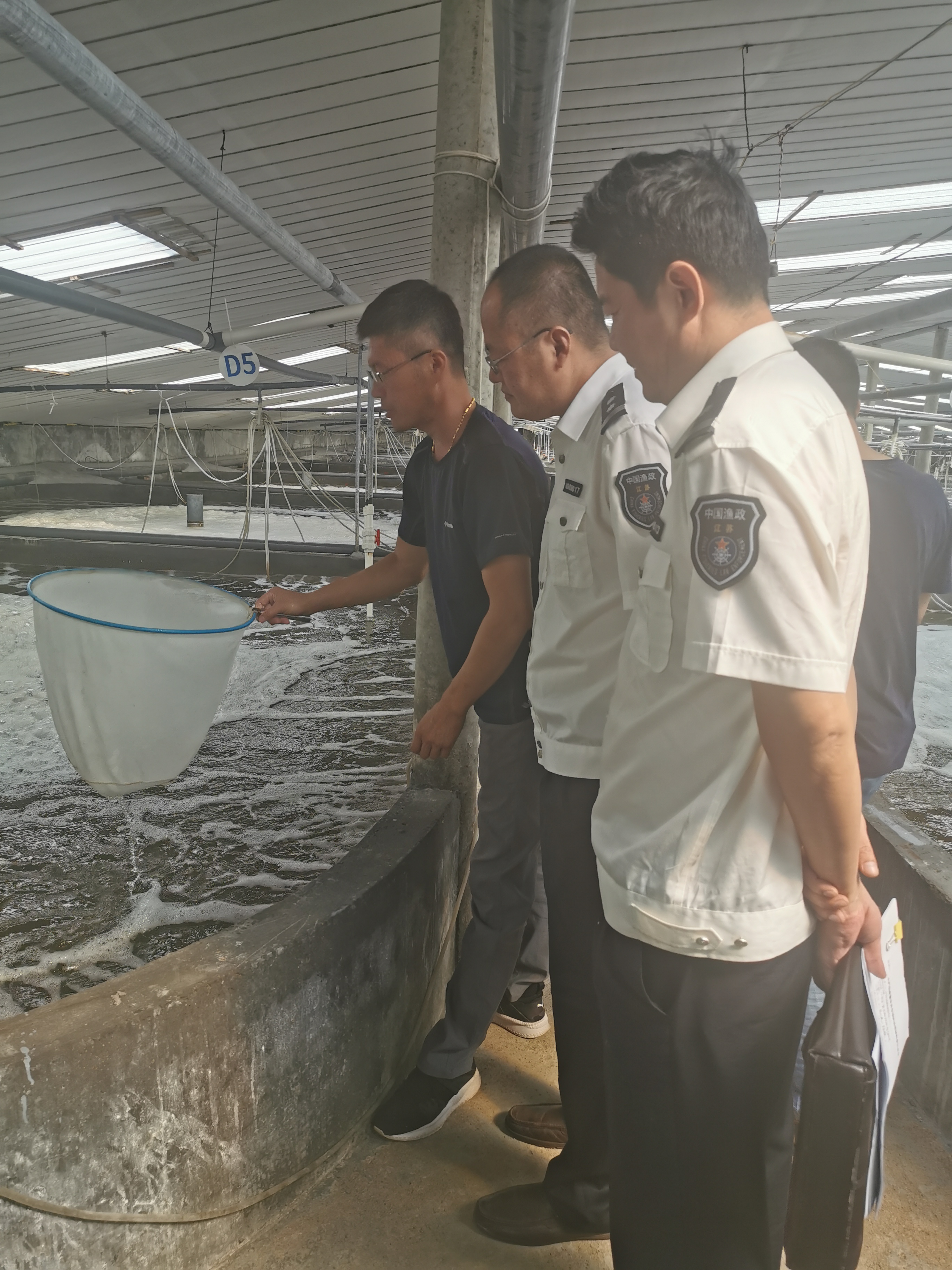 2019.9.29水产品质量安全督查1.jpg