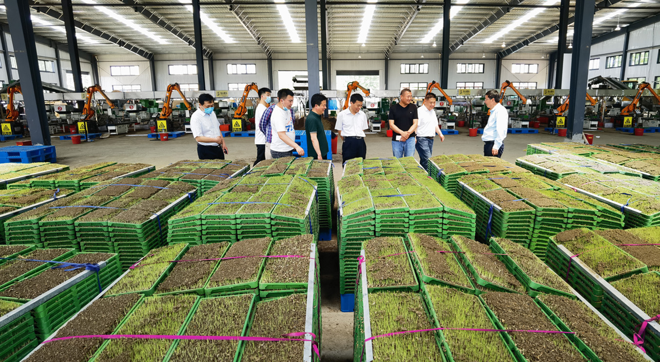 东海育秧中心1_副本.jpg